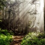 Photo Mountain trail