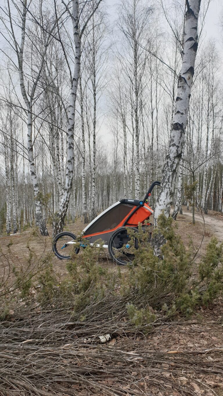 Photo Canadian e-bike