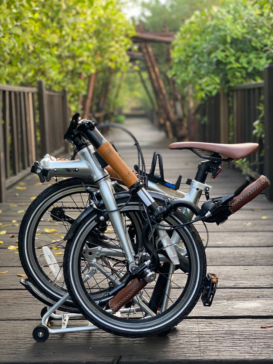 Photo Canadian ebike