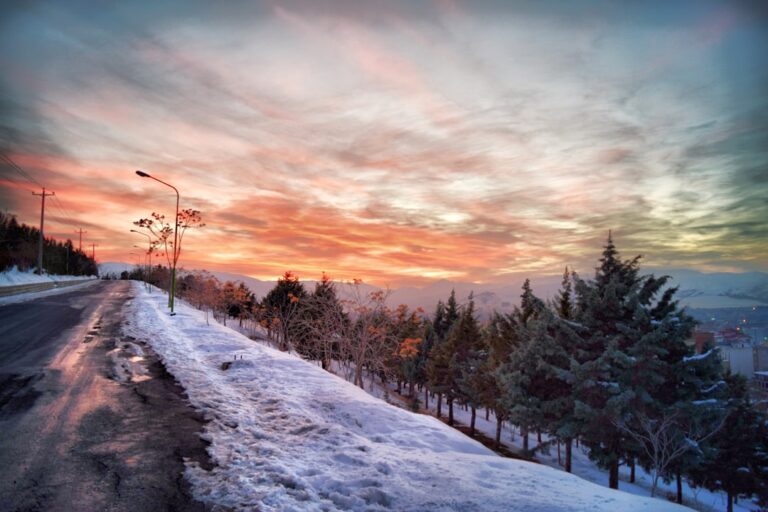 Photo RadRover 6 Plus