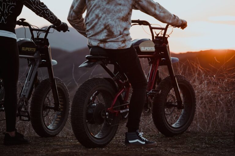 Photo Electric bike motor