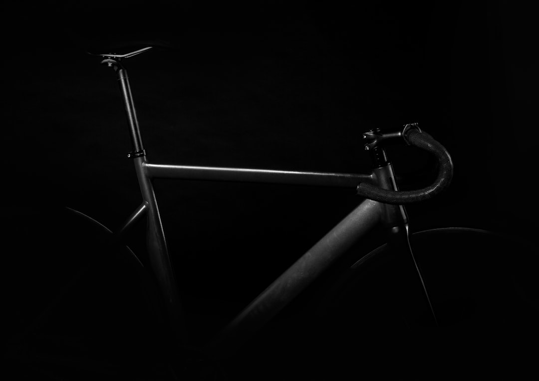 Photo Cargo e-bike
